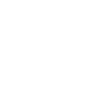 Aseguramiento de<br>Carga